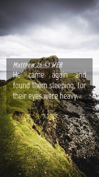 Picture 04 - Matthew 26:43 WEB Mobile Phone Wallpaper - He came again and found them sleeping, for their - Mobile Bible Verse Wallpaper