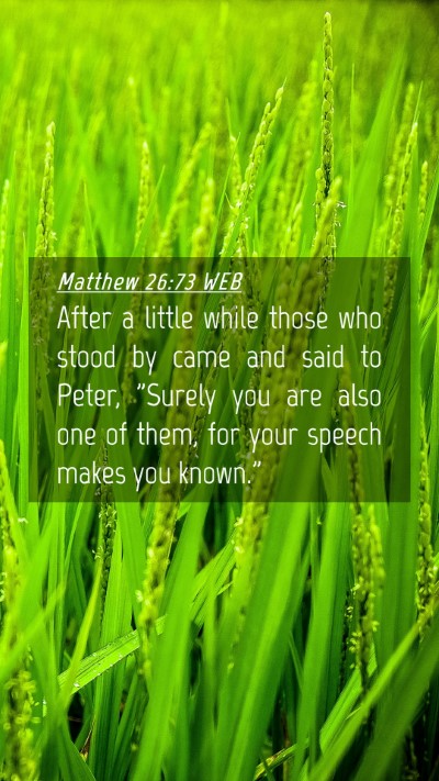 Picture 04 - Matthew 26:73 WEB Mobile Phone Wallpaper - After a little while those who stood by came and - Mobile Bible Verse Wallpaper