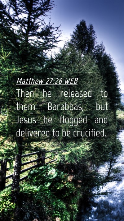 Picture 04 - Matthew 27:26 WEB Mobile Phone Wallpaper - Then he released to them Barabbas, but Jesus he - Mobile Bible Verse Wallpaper