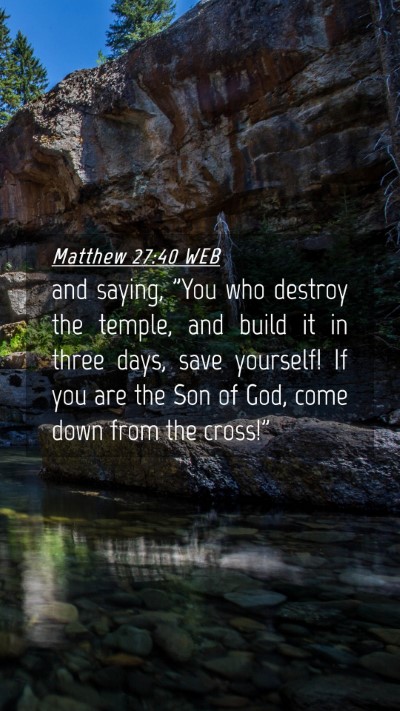 Picture 04 - Matthew 27:40 WEB Mobile Phone Wallpaper - and saying, 