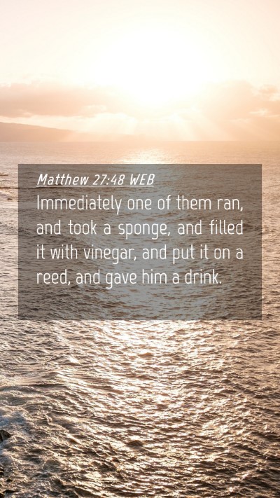 Picture 04 - Matthew 27:48 WEB Mobile Phone Wallpaper - Immediately one of them ran, and took a sponge, - Mobile Bible Verse Wallpaper