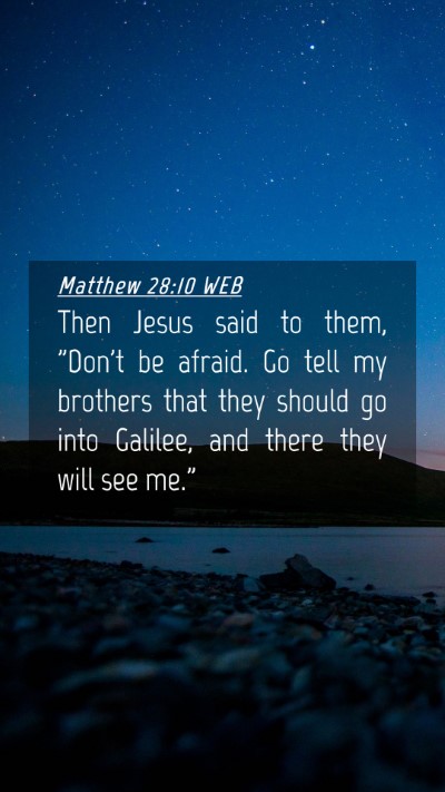 Picture 04 - Matthew 28:10 WEB Mobile Phone Wallpaper - Then Jesus said to them, 