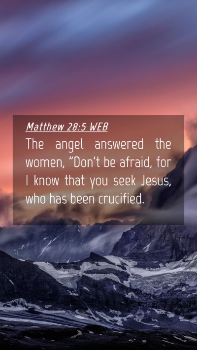 Picture 04 - Matthew 28:5 WEB Mobile Phone Wallpaper - The angel answered the women, 