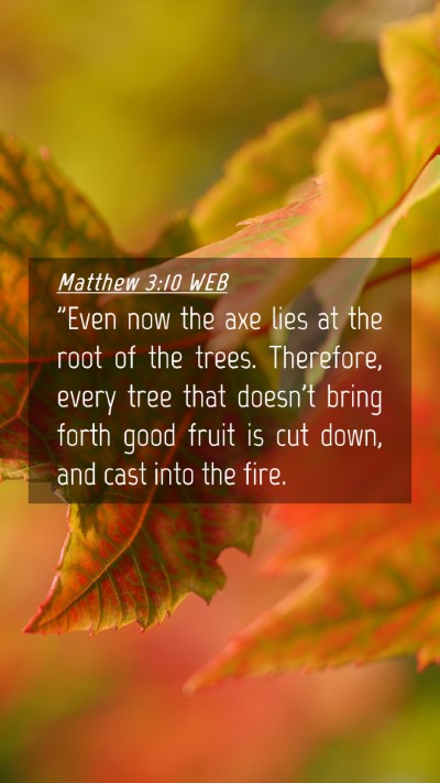 Picture 04 - Matthew 3:10 WEB Mobile Phone Wallpaper - 