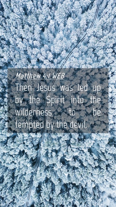 Picture 04 - Matthew 4:1 WEB Mobile Phone Wallpaper - Then Jesus was led up by the Spirit into the - Mobile Bible Verse Wallpaper