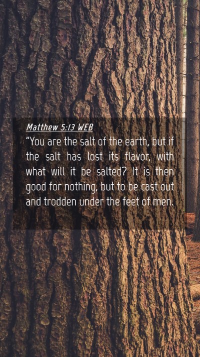 Picture 04 - Matthew 5:13 WEB Mobile Phone Wallpaper - 