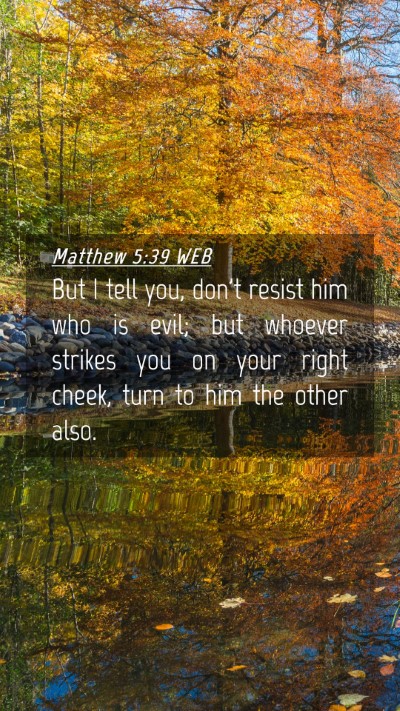 Picture 04 - Matthew 5:39 WEB Mobile Phone Wallpaper - But I tell you, don't resist him who is evil; but - Mobile Bible Verse Wallpaper