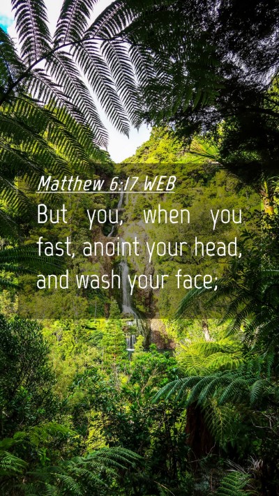 Picture 04 - Matthew 6:17 WEB Mobile Phone Wallpaper - But you, when you fast, anoint your head, and - Mobile Bible Verse Wallpaper