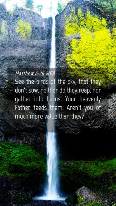 Picture 04 - Matthew 6:26 WEB Mobile Phone Wallpaper - See the birds of the sky, that they don't sow, - Mobile Bible Verse Wallpaper
