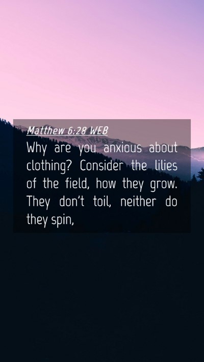 Picture 04 - Matthew 6:28 WEB Mobile Phone Wallpaper - Why are you anxious about clothing? Consider the - Mobile Bible Verse Wallpaper