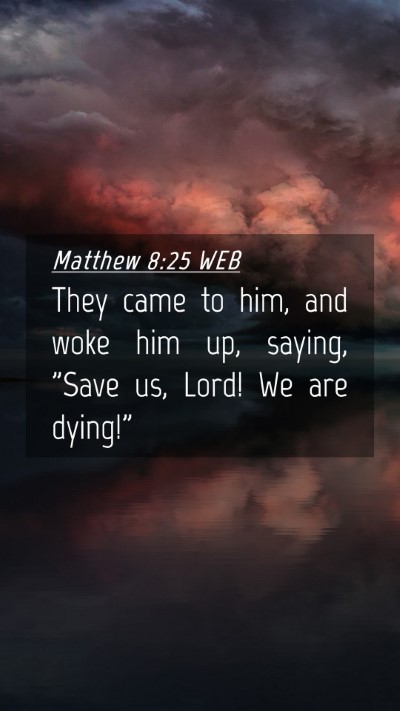Picture 04 - Matthew 8:25 WEB Mobile Phone Wallpaper - They came to him, and woke him up, saying, 