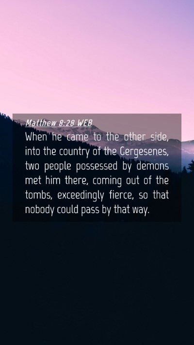 Picture 04 - Matthew 8:28 WEB Mobile Phone Wallpaper - When he came to the other side, into the country - Mobile Bible Verse Wallpaper