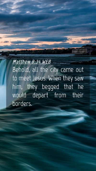 Picture 04 - Matthew 8:34 WEB Mobile Phone Wallpaper - Behold, all the city came out to meet Jesus. When - Mobile Bible Verse Wallpaper
