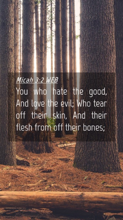 Picture 04 - Micah 3:2 WEB Mobile Phone Wallpaper - You who hate the good, And love the evil; Who - Mobile Bible Verse Wallpaper