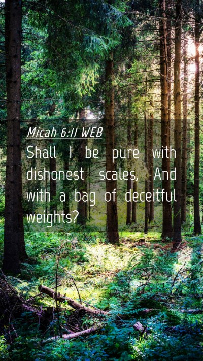 Picture 04 - Micah 6:11 WEB Mobile Phone Wallpaper - Shall I be pure with dishonest scales, And with a - Mobile Bible Verse Wallpaper