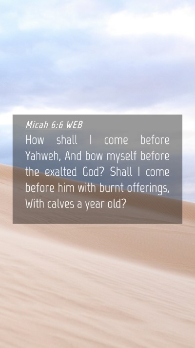 Picture 04 - Micah 6:6 WEB Mobile Phone Wallpaper - How shall I come before Yahweh, And bow myself - Mobile Bible Verse Wallpaper