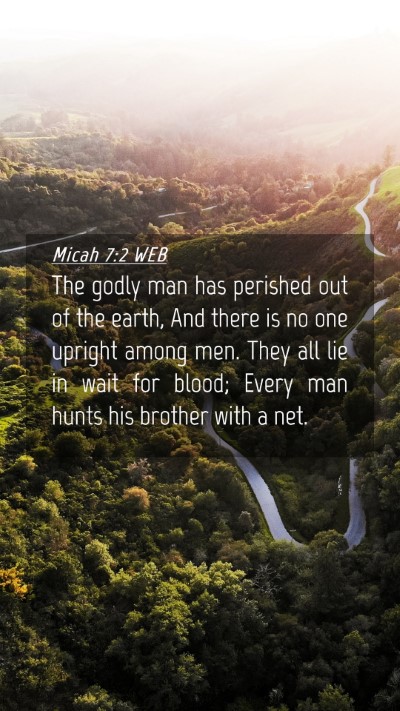 Picture 04 - Micah 7:2 WEB Mobile Phone Wallpaper - The godly man has perished out of the earth, And - Mobile Bible Verse Wallpaper