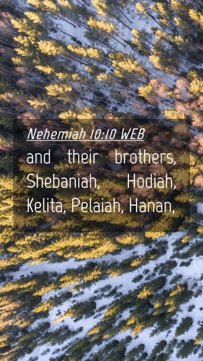 Picture 04 - Nehemiah 10:10 WEB Mobile Phone Wallpaper - and their brothers, Shebaniah, Hodiah, Kelita, - Mobile Bible Verse Wallpaper