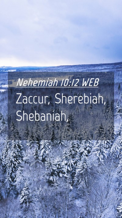 Picture 04 - Nehemiah 10:12 WEB Mobile Phone Wallpaper - Zaccur, Sherebiah, - Mobile Bible Verse Wallpaper