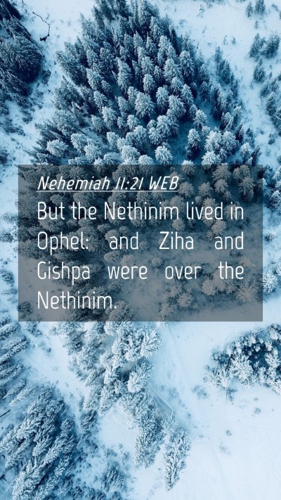 Picture 04 - Nehemiah 11:21 WEB Mobile Phone Wallpaper - But the Nethinim lived in Ophel: and Ziha and - Mobile Bible Verse Wallpaper