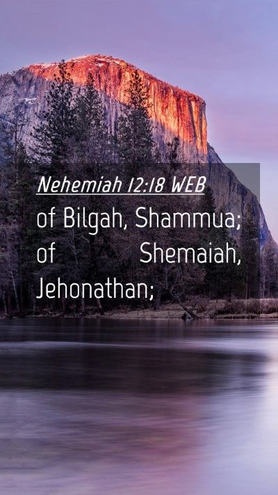 Picture 04 - Nehemiah 12:18 WEB Mobile Phone Wallpaper - of Bilgah, Shammua; of Shemaiah, - Mobile Bible Verse Wallpaper