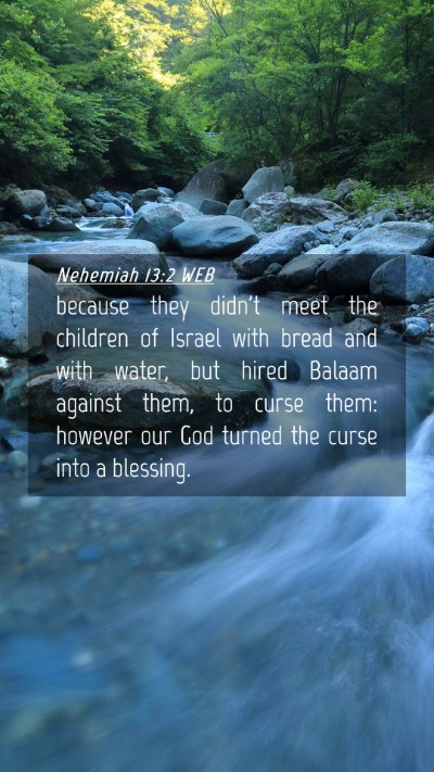 Picture 04 - Nehemiah 13:2 WEB Mobile Phone Wallpaper - because they didn't meet the children of Israel - Mobile Bible Verse Wallpaper