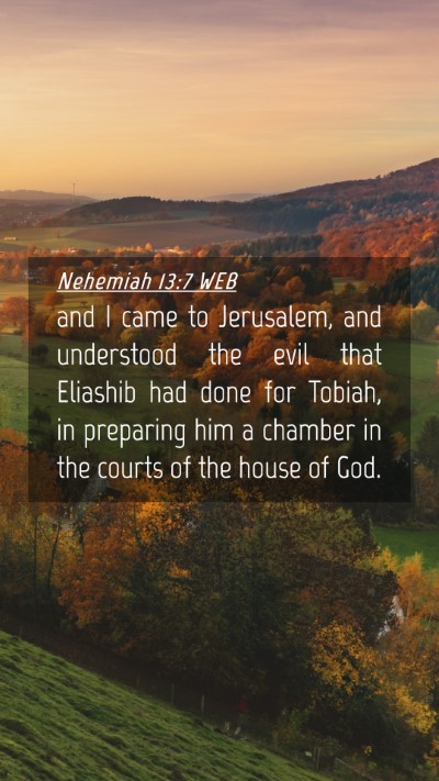 Picture 04 - Nehemiah 13:7 WEB Mobile Phone Wallpaper - and I came to Jerusalem, and understood the evil - Mobile Bible Verse Wallpaper