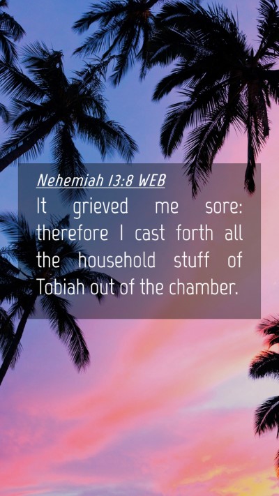 Picture 04 - Nehemiah 13:8 WEB Mobile Phone Wallpaper - It grieved me sore: therefore I cast forth all - Mobile Bible Verse Wallpaper