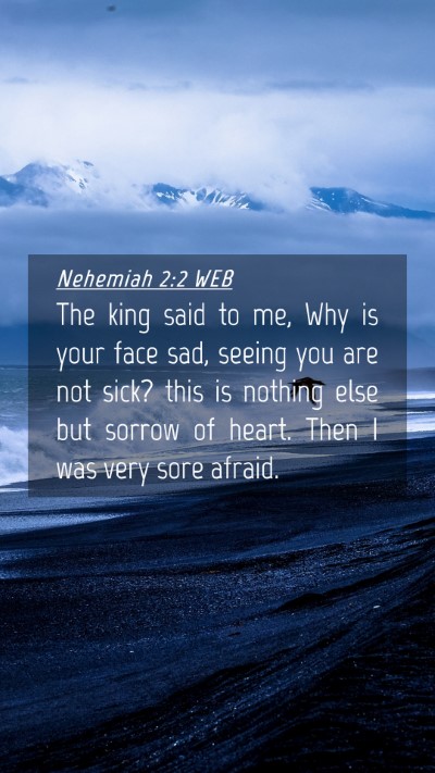 Picture 04 - Nehemiah 2:2 WEB Mobile Phone Wallpaper - The king said to me, Why is your face sad, seeing - Mobile Bible Verse Wallpaper