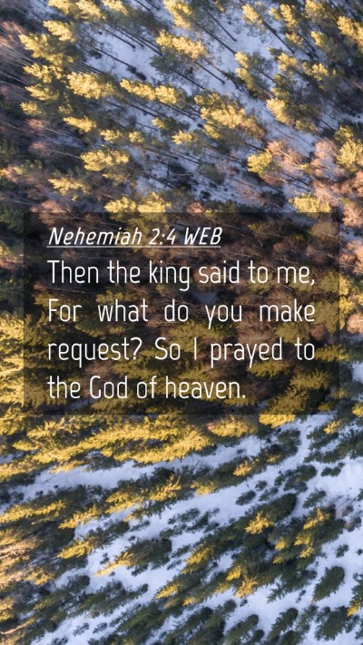 Picture 04 - Nehemiah 2:4 WEB Mobile Phone Wallpaper - Then the king said to me, For what do you make - Mobile Bible Verse Wallpaper