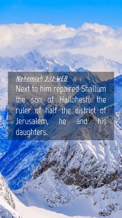 Picture 04 - Nehemiah 3:12 WEB Mobile Phone Wallpaper - Next to him repaired Shallum the son of - Mobile Bible Verse Wallpaper