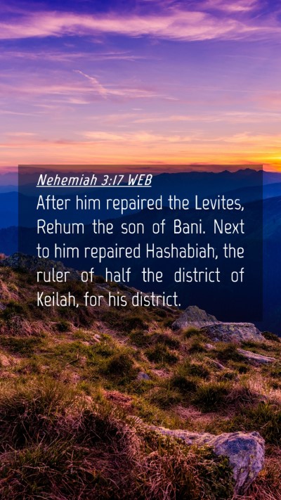 Picture 04 - Nehemiah 3:17 WEB Mobile Phone Wallpaper - After him repaired the Levites, Rehum the son of - Mobile Bible Verse Wallpaper
