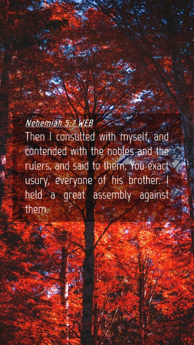 Picture 04 - Nehemiah 5:7 WEB Mobile Phone Wallpaper - Then I consulted with myself, and contended with - Mobile Bible Verse Wallpaper