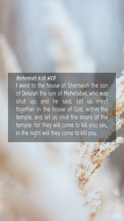 Picture 04 - Nehemiah 6:10 WEB Mobile Phone Wallpaper - I went to the house of Shemaiah the son of - Mobile Bible Verse Wallpaper