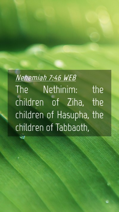 Picture 04 - Nehemiah 7:46 WEB Mobile Phone Wallpaper - The Nethinim: the children of Ziha, the children - Mobile Bible Verse Wallpaper