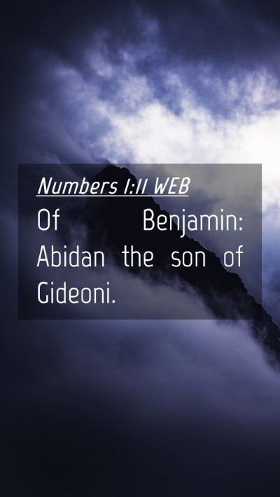Picture 04 - Numbers 1:11 WEB Mobile Phone Wallpaper - Of Benjamin: Abidan the son of - Mobile Bible Verse Wallpaper