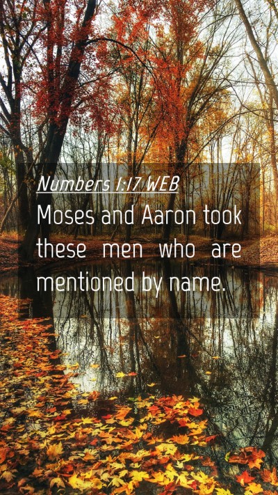 Picture 04 - Numbers 1:17 WEB Mobile Phone Wallpaper - Moses and Aaron took these men who are mentioned - Mobile Bible Verse Wallpaper