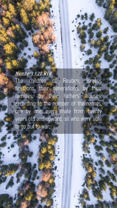 Picture 04 - Numbers 1:20 WEB Mobile Phone Wallpaper - The children of Reuben, Israel's firstborn, their - Mobile Bible Verse Wallpaper