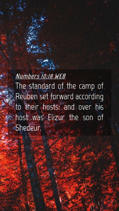 Picture 04 - Numbers 10:18 WEB Mobile Phone Wallpaper - The standard of the camp of Reuben set forward - Mobile Bible Verse Wallpaper