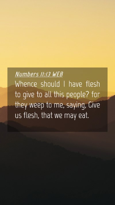 Picture 04 - Numbers 11:13 WEB Mobile Phone Wallpaper - Whence should I have flesh to give to all this - Mobile Bible Verse Wallpaper
