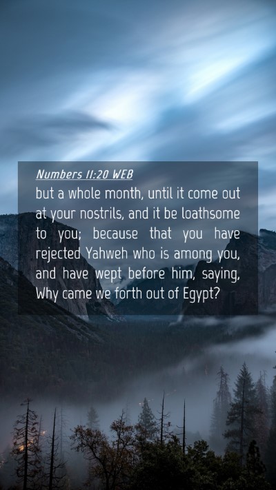 Picture 04 - Numbers 11:20 WEB Mobile Phone Wallpaper - but a whole month, until it come out at your - Mobile Bible Verse Wallpaper