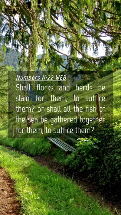 Picture 04 - Numbers 11:22 WEB Mobile Phone Wallpaper - Shall flocks and herds be slain for them, to - Mobile Bible Verse Wallpaper