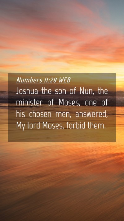 Picture 04 - Numbers 11:28 WEB Mobile Phone Wallpaper - Joshua the son of Nun, the minister of Moses, one - Mobile Bible Verse Wallpaper