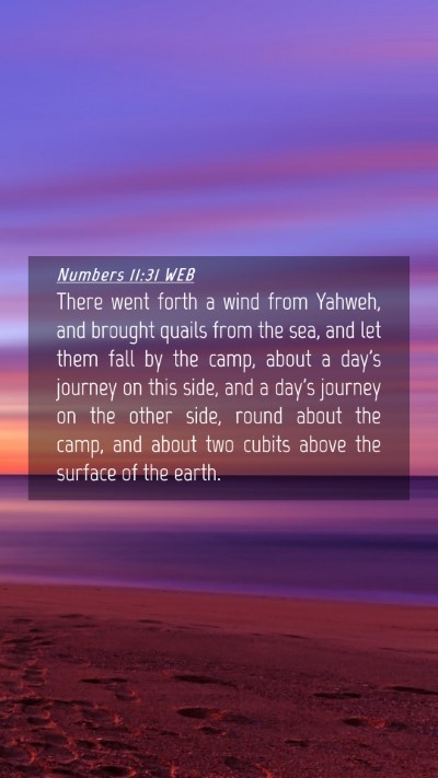 Picture 04 - Numbers 11:31 WEB Mobile Phone Wallpaper - There went forth a wind from Yahweh, and brought - Mobile Bible Verse Wallpaper