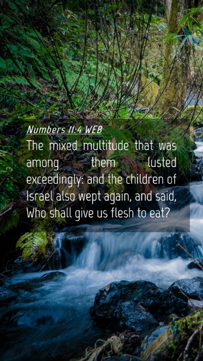 Picture 04 - Numbers 11:4 WEB Mobile Phone Wallpaper - The mixed multitude that was among them lusted - Mobile Bible Verse Wallpaper