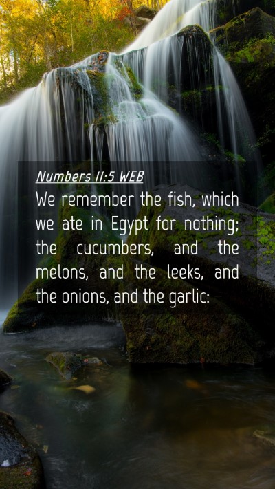 Picture 04 - Numbers 11:5 WEB Mobile Phone Wallpaper - We remember the fish, which we ate in Egypt for - Mobile Bible Verse Wallpaper