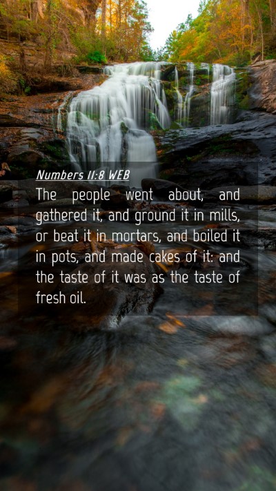 Picture 04 - Numbers 11:8 WEB Mobile Phone Wallpaper - The people went about, and gathered it, and - Mobile Bible Verse Wallpaper
