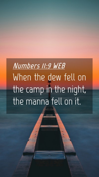 Picture 04 - Numbers 11:9 WEB Mobile Phone Wallpaper - When the dew fell on the camp in the night, the - Mobile Bible Verse Wallpaper