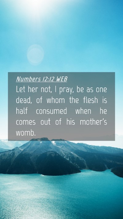 Picture 04 - Numbers 12:12 WEB Mobile Phone Wallpaper - Let her not, I pray, be as one dead, of whom the - Mobile Bible Verse Wallpaper