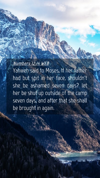 Picture 04 - Numbers 12:14 WEB Mobile Phone Wallpaper - Yahweh said to Moses, If her father had but spit - Mobile Bible Verse Wallpaper